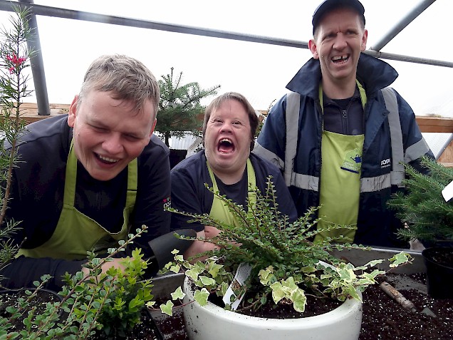 Gareth, Shaun and Malcolm having a laugh in the polytunnel